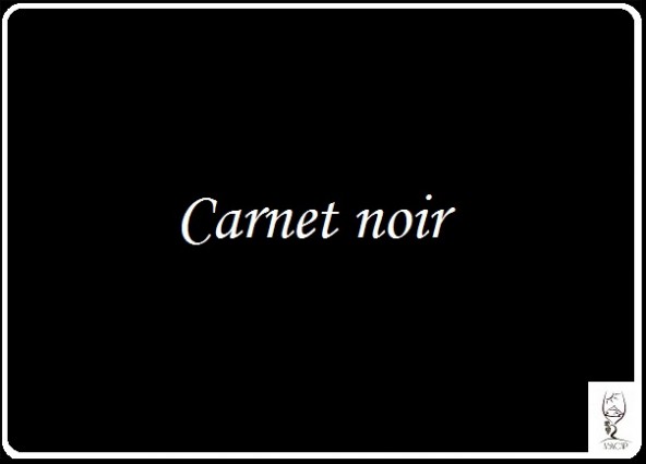 Carnet Noir - Alain Bois