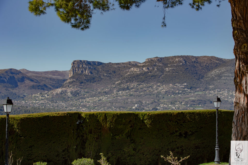 ASNCAP Sommeliers de Nice Côte d'Azur Provence