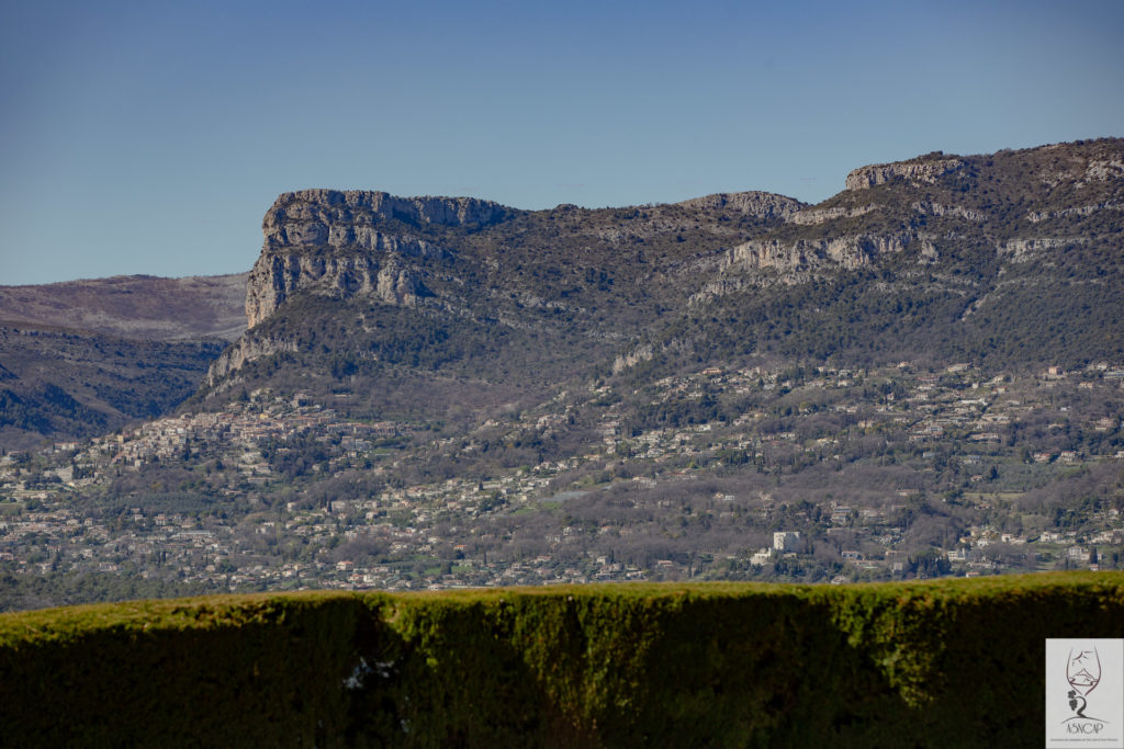 ASNCAP Sommeliers de Nice Côte d'Azur Provence