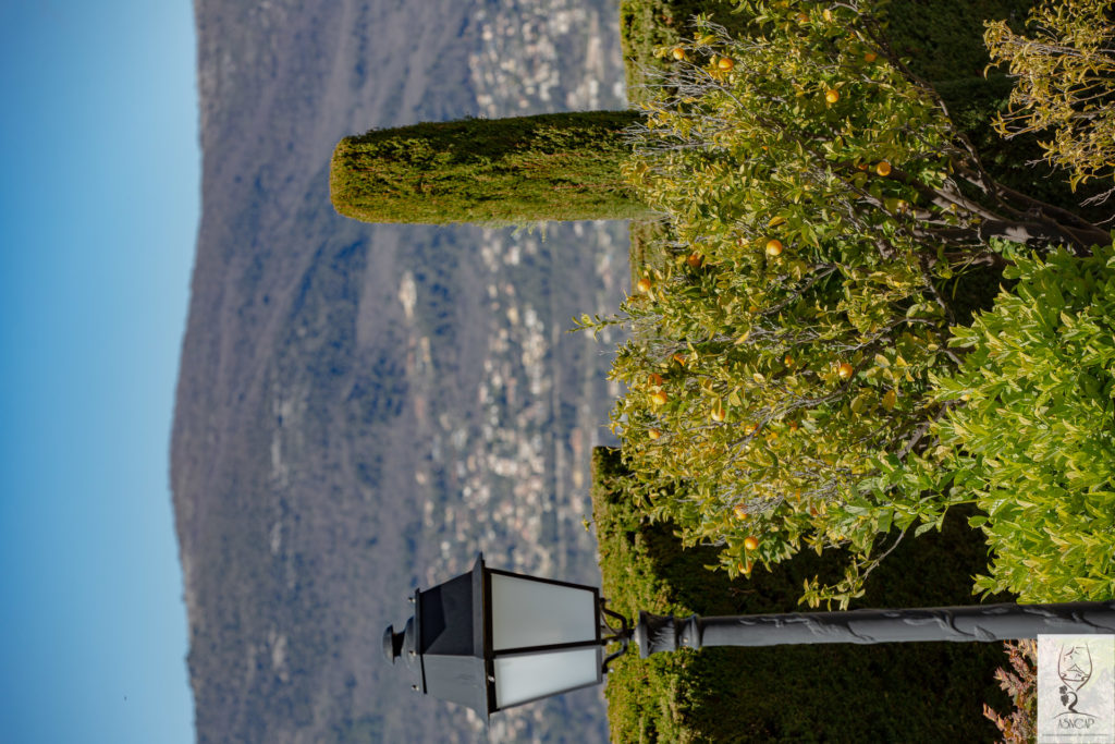 ASNCAP Sommeliers de Nice Côte d'Azur Provence