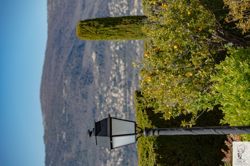 ASNCAP Sommeliers de Nice Côte d'Azur Provence