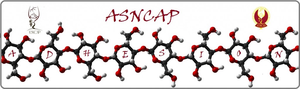Adhésion asncap