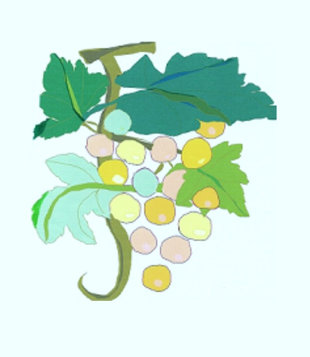 Association des Amis du Vignoble de Bellet