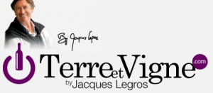 Terre et Vigne