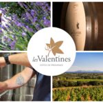 Château Les Valentines – Côtes de Provence – vignoble, chai, barriques et dégustation – ASNCAP sommeliers Nice Côte d’Azur Provence