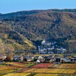 Vignobles aux couleurs d’automne et villages de Beilstein et Ellenz sur la Moselle