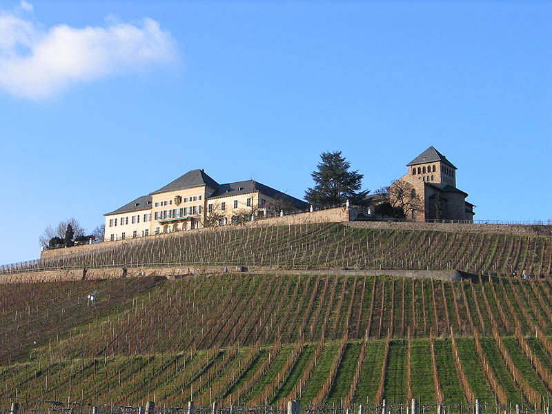 Photo du Château Johannisberg Rheingau